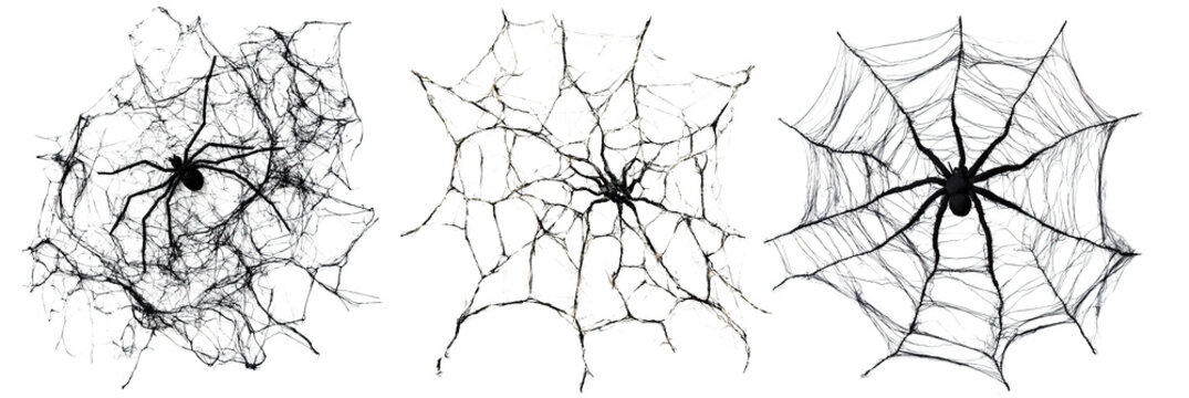 Realistic black spiders on detailed cobwebs with eerie textures. Each web shows unique patterns of silk threads. Dark background enhances the creepy Halloween theme.