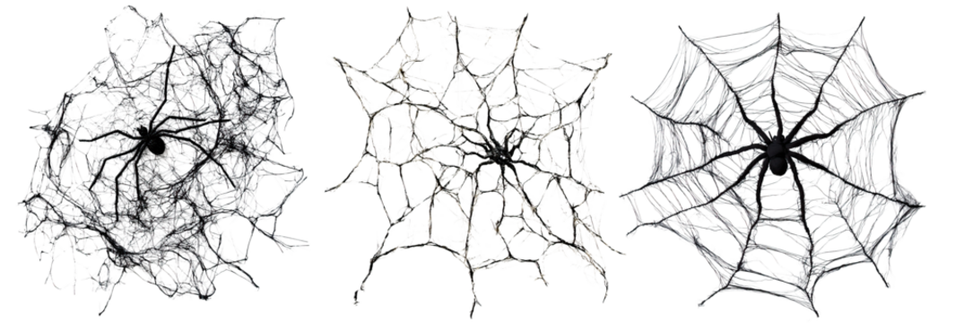 Realistic black spiders on detailed cobwebs with eerie textures. Each web shows unique patterns of silk threads. Dark background enhances the creepy Halloween theme.