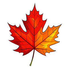 Autumn Maple Leaf PNG Illustration