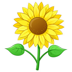 Sunflower PNG Clipart