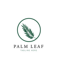 Palm leaf logo with elegant style design, Minimal palm leaf logo, Green palm leaf logo on white background	