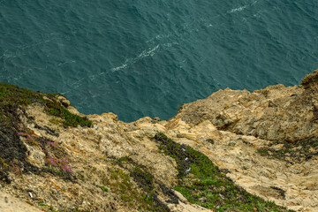 rocky coast of the sea