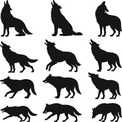 wolf, wolves, silhouette, howling, predator, wild, forest, hunting, animal, nature, wildlife, canine, pack, danger, growl,