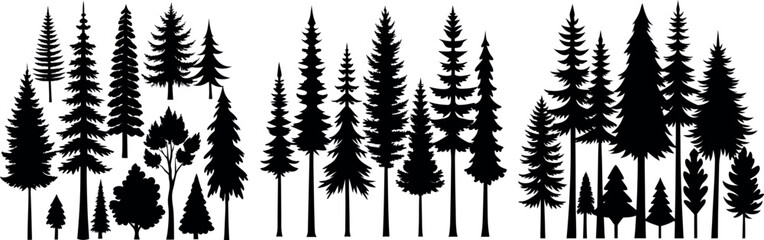 Majestic forest silhouette diverse trees nature&nbsp;scene