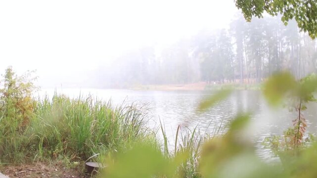 Serene lakeside view with lush greenery on a misty morning offering peaceful escape