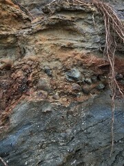 Collapse of the seashore in winter