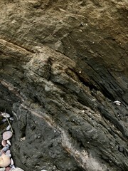 Collapse of the seashore in winter