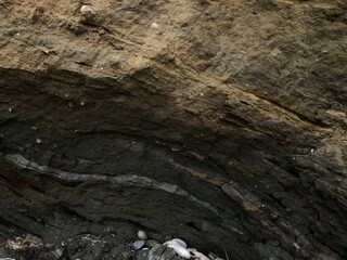 Collapse of the seashore in winter