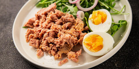 Tuna salad egg, arugula, vegetables tasty snack fresh delicious gourmet food background on the table rustic food top view copy space keto and paleo diet food pescetarian diet