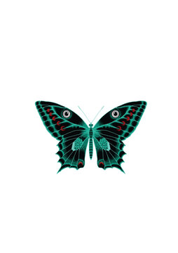 Schmetterling