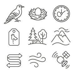 Fototapeta premium Migratory Birds Icons. Outline style icons of Migratory Birds: common cuckoo outline, host nest shell, egg timing clock, departure
