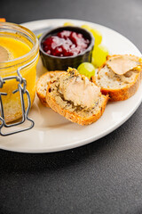 Foie gras goose liver appetizer delicacy fresh delicious gourmet food background on the table rustic food top view copy space