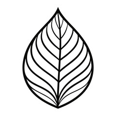 leaf icon vector illustration