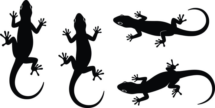 Lizard silhouette vector pack, gecko reptile clipart, crawling climbing poses, animal outline design, wildlife graphic, black reptile shape illustration