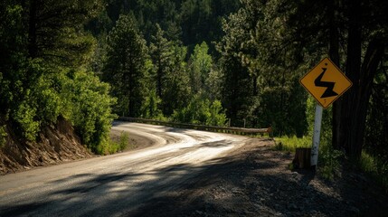 Forest winding road scenic route