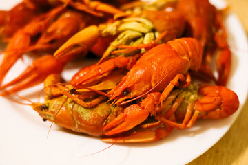 Crayfish feast prepared on a white plate during a summer gathering in a cozy kitchen setting