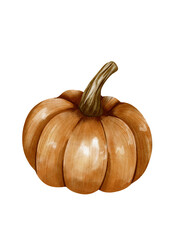 Watercolor pumpkin isolated illustration on transparent background 