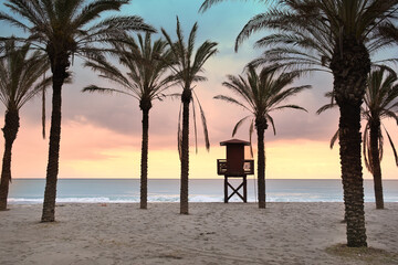 Golden Tropical Beach Sunset on Spanish Mediterranean Coast with Palm Trees in Benalmádena Málaga Spain, Relaxing Beach Landscape