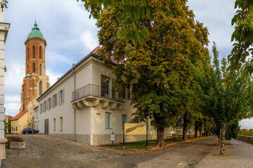 Peaceful Arpad Toth Promenade with yellow-green autumn trees, featuring Mary Magdalene Bell Tower against blue sky in Buda Old Town. Budapest, Hungary.

