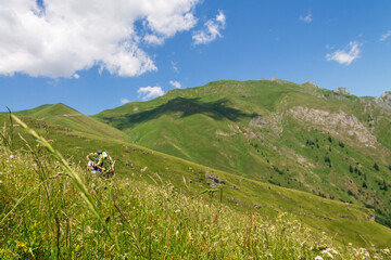 tracking in the mountain