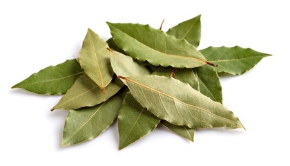 Fototapeta premium Pile of bay leaves on white background