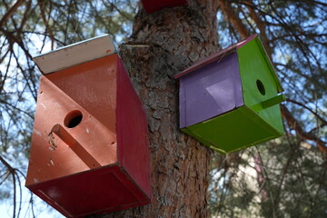 Birdhouse on the trees are colorful and very good and beautiful