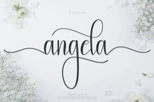 angela Script vector alphabet. Modern monoline signature script font. Elegant Signature Font. Best Alphabet Beautiful Calligraphy Signature Font
