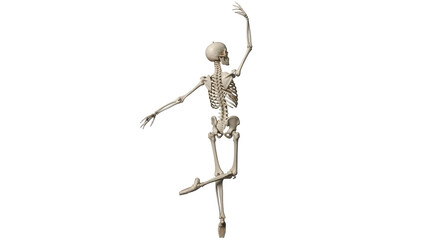 Isolated Dancing Human Skeleton