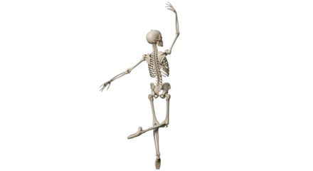 Isolated Dancing Human Skeleton