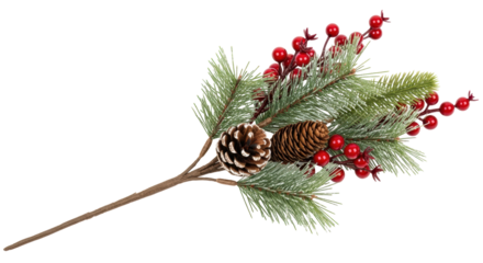 Isolated Christmas Pine Branch with Cone and Berries