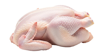 Isolated Raw Chicken