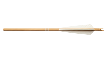 Isolated Arrow with White Feathers