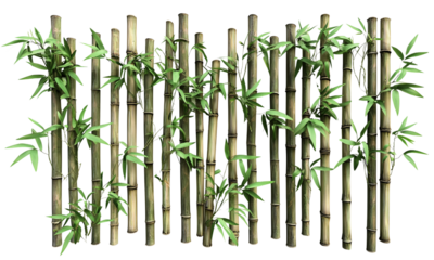 Cluster of bamboo stalks with fresh green leaves, forming a natural vertical screen with rhythmic nodes and segments.