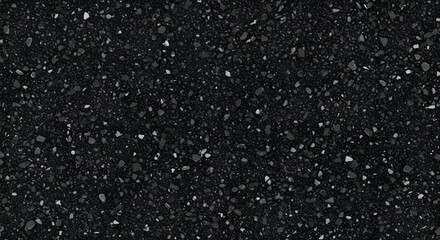 Obraz premium Black speckled surface with dark and light specks creates a unique stone-like texture.