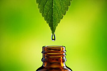 Green leaf water drop falling into amber bottle image