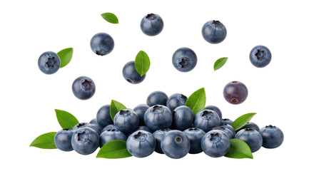 Isolated Heap of Blueberries with Leaves