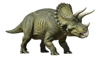 Fotobehang Dinosaurussen Isolated Triceratops  © Maria