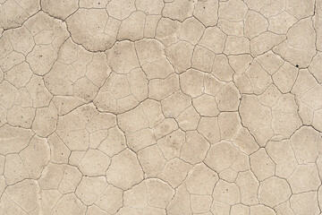 Desert Mudcracks On Playa Surface