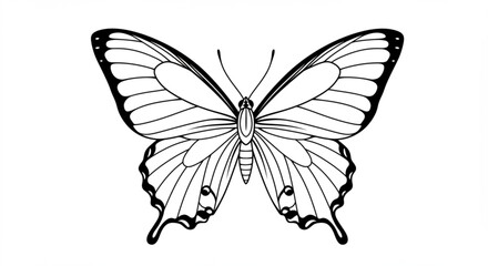 Detailed black and white line drawing of a butterfly with intricate wing patterns and delicate antennae vreated with genrated ai