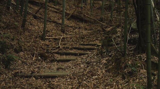 熊野古道・紀伊路「矢田峠(やたとうげ)」和歌山県和歌山市 ④Kumano Kodo Kiiji Route &ndash; Yata Pass in Wakayama City, Wakayama Prefecture #4