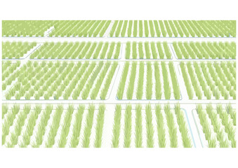 Green agricultural fields pattern on white background for farm design and copy space