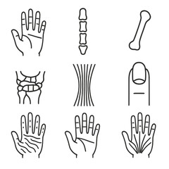 Fototapeta premium Hand Anatomy Icons. Line style icons of hand anatomy: palm structure, finger joints, thumb bone, wrist ligaments, tendons layout,
