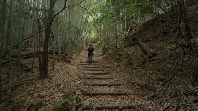 熊野古道・紀伊路「矢田峠(やたとうげ)」和歌山県和歌山市 ⑥Kumano Kodo Kiiji Route &ndash; Yata Pass in Wakayama City, Wakayama Prefecture #6
