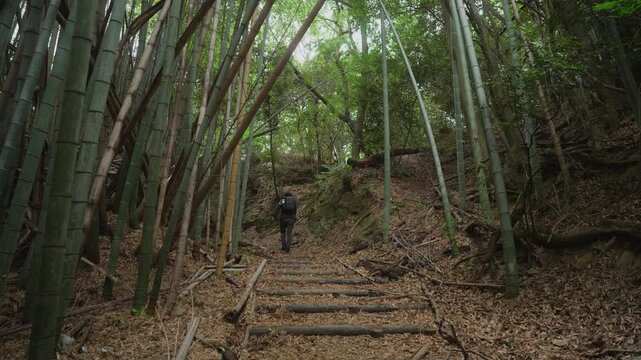 熊野古道・紀伊路「矢田峠(やたとうげ)」和歌山県和歌山市 ⑧Kumano Kodo Kiiji Route &ndash; Yata Pass in Wakayama City, Wakayama Prefecture #8
