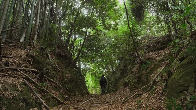 熊野古道・紀伊路「矢田峠(やたとうげ)」和歌山県和歌山市 ⑨Kumano Kodo Kiiji Route &ndash; Yata Pass in Wakayama City, Wakayama Prefecture #9
