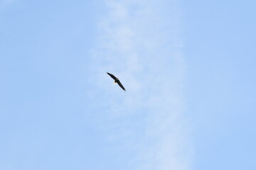 Marais Kingsbury 23 Août 2025