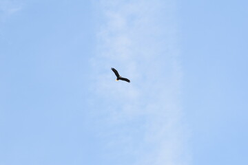 Marais Kingsbury 23 Août 2025