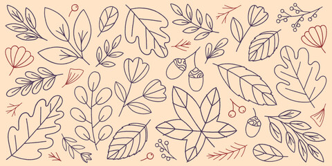 Autumn outline leaves,acorns,florals,berries,ginkgo and plants.Fall botany bundle.Modern autumn linear foliage for banners,social media marketing,patterns,branding,packaging,covers,prints.