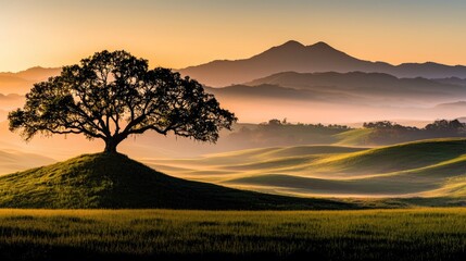 A lone tree stands tall on a hill overlooking a valley at sunrise.
