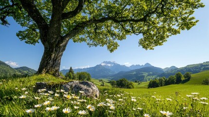Fototapeta premium A picturesque alpine meadow beneath a large tree, bathed in sunlight.